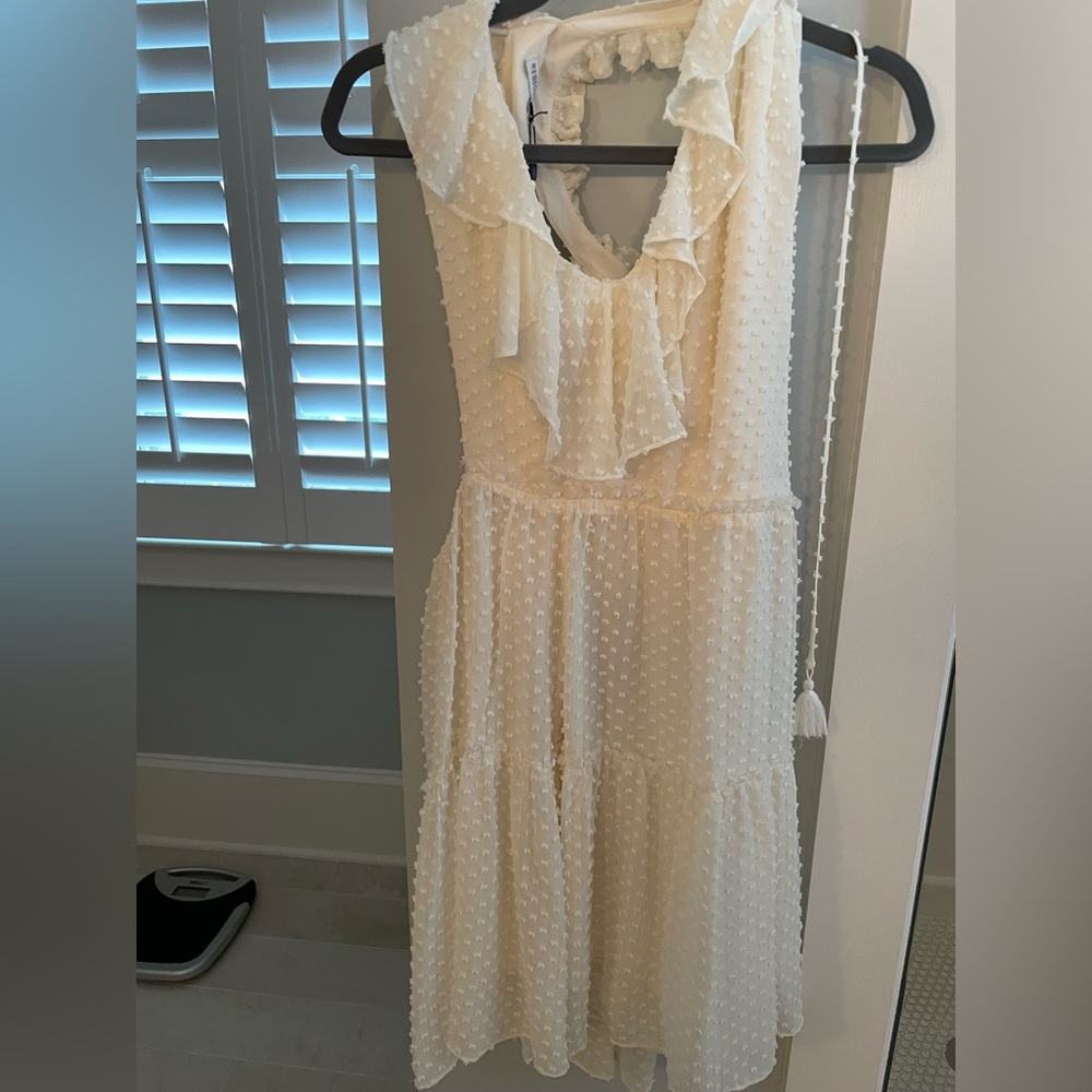 NWT- Rebecca Minkoff Emi dress (size 4)